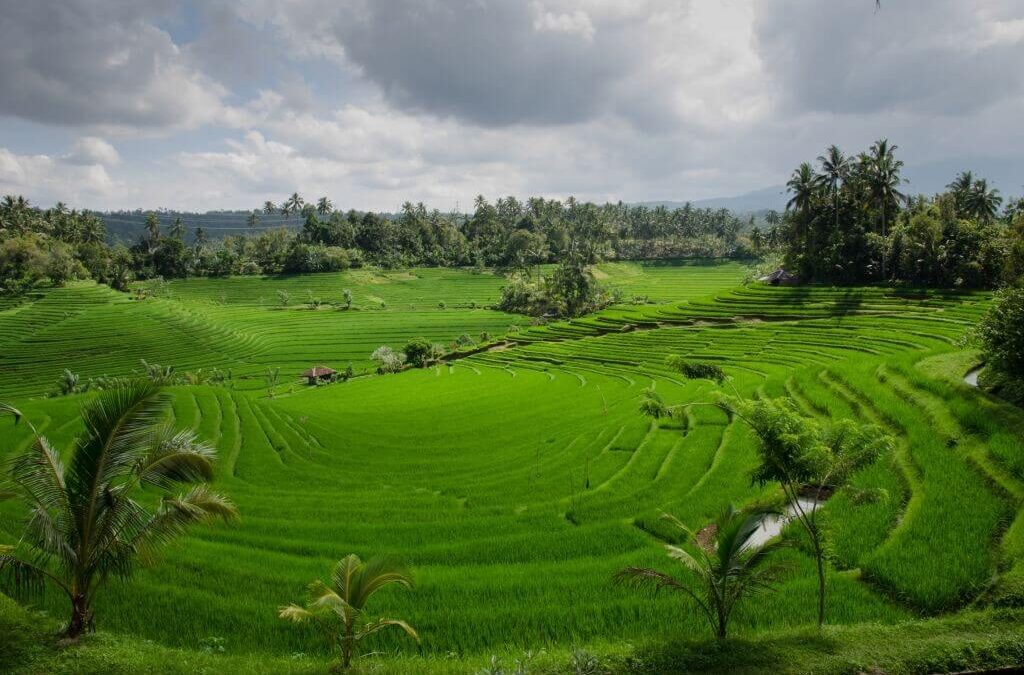 Bali: een prachtige vakantiebestemming!
