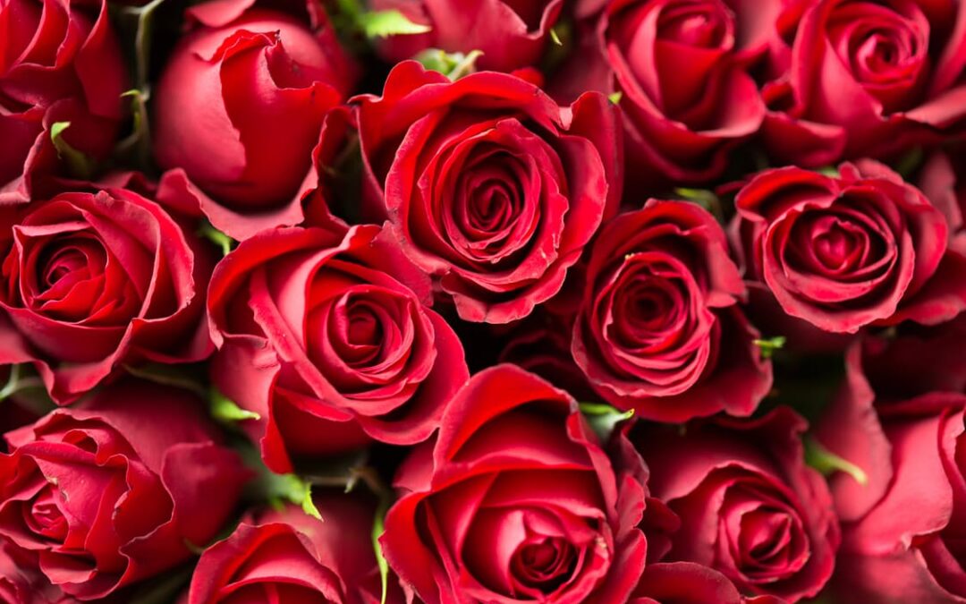 Valentijnsdag 2017 is onderweg: 10 tips om jouw liefde kenbaar te maken